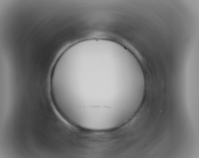 X0000114061479200910050945