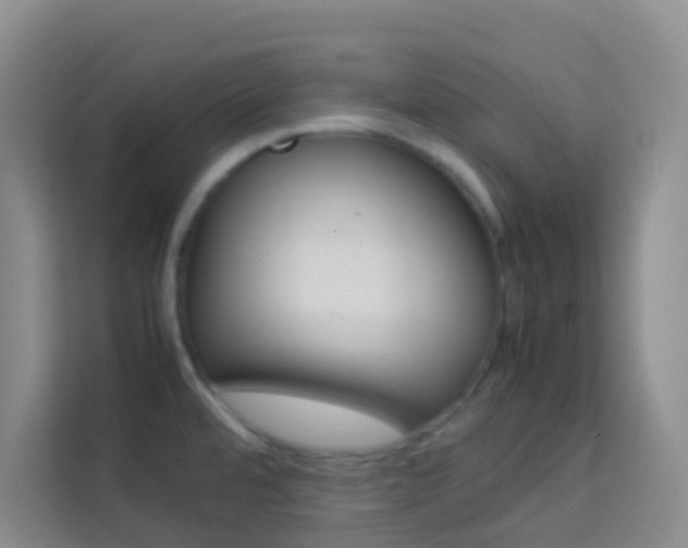 X0000114061480200910050945