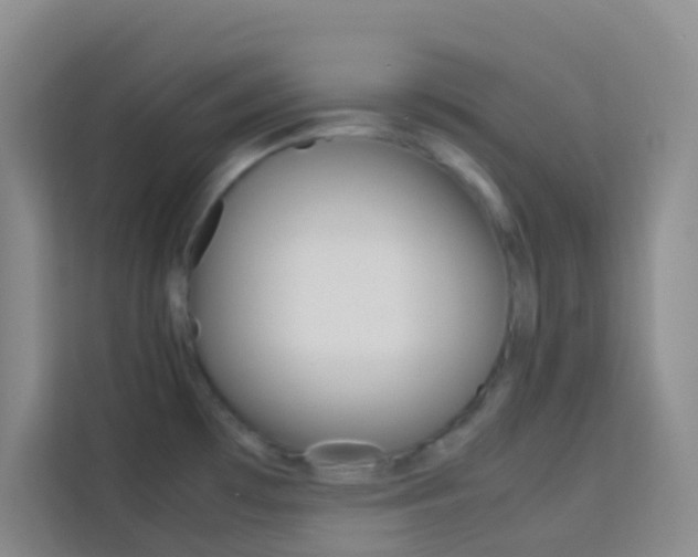 X0000114061481200910050945
