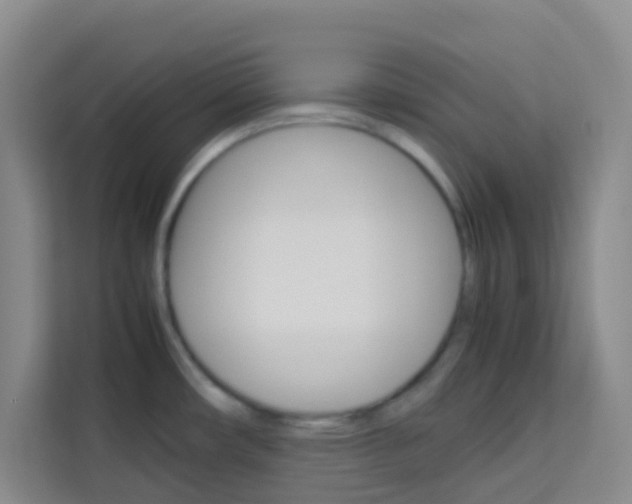 X0000114061482200910050945