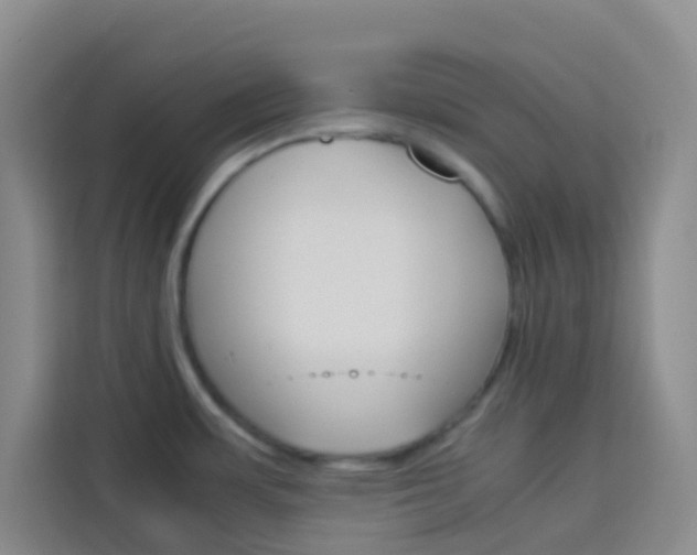 X0000114061483200910050945