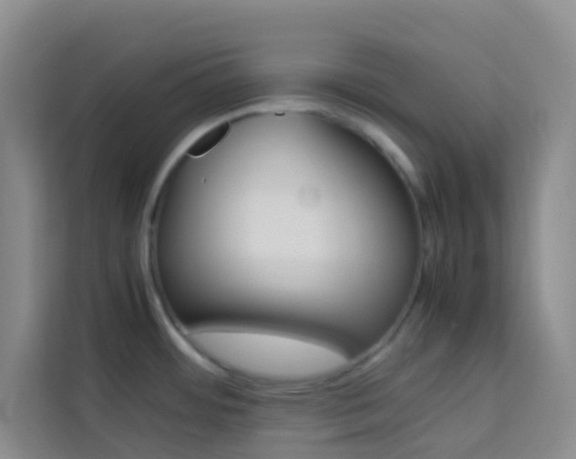 X0000114061484200910050945