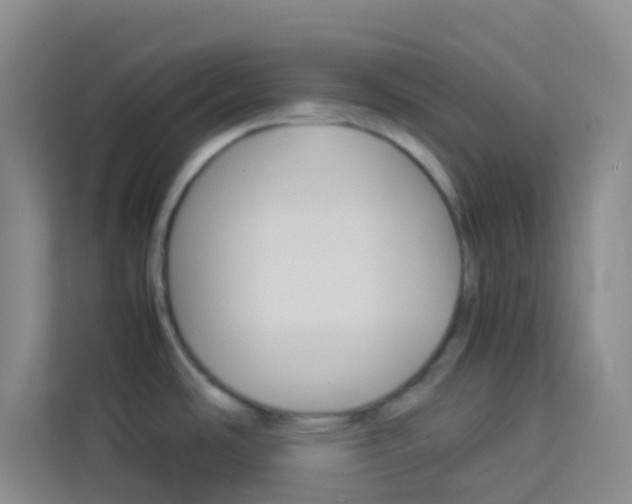 X0000114061486200910050945