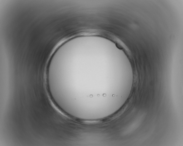 X0000114061487200910050945