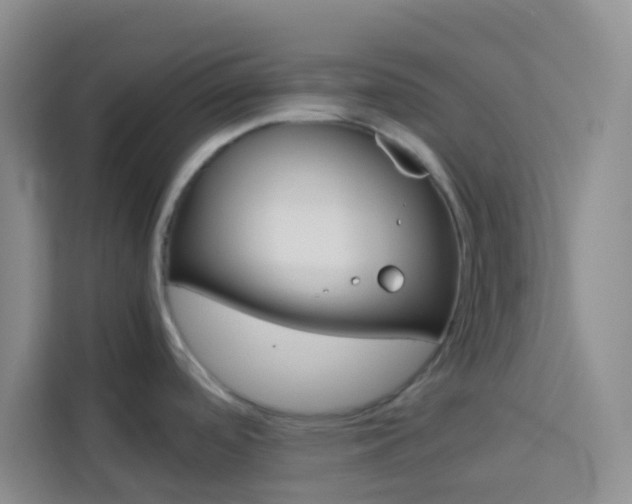 X0000114061488200910050945