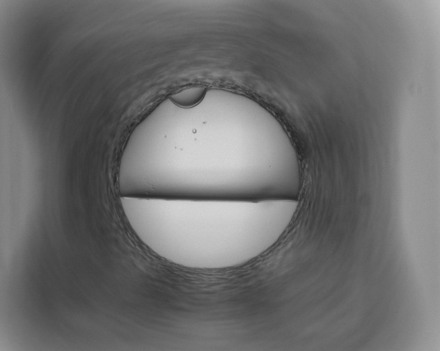 X0000114061489200910050945