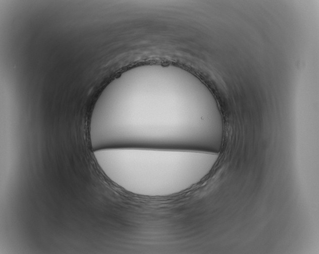 X0000114061490200910050945