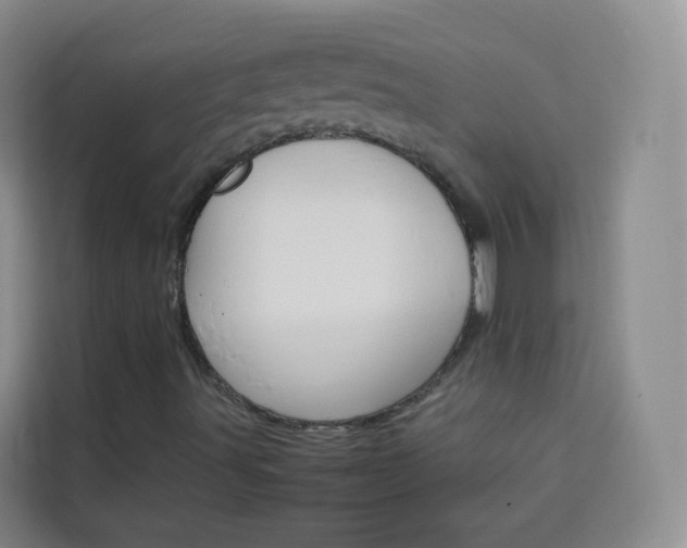 X0000114061491200910050945