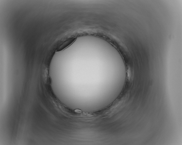 X0000114061492200910050945