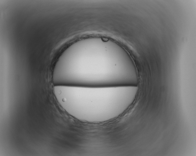 X0000114061494200910050945