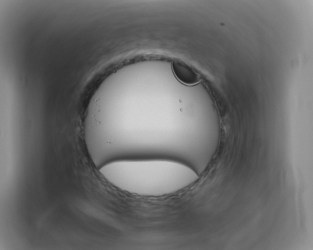 X0000114061495200910050945