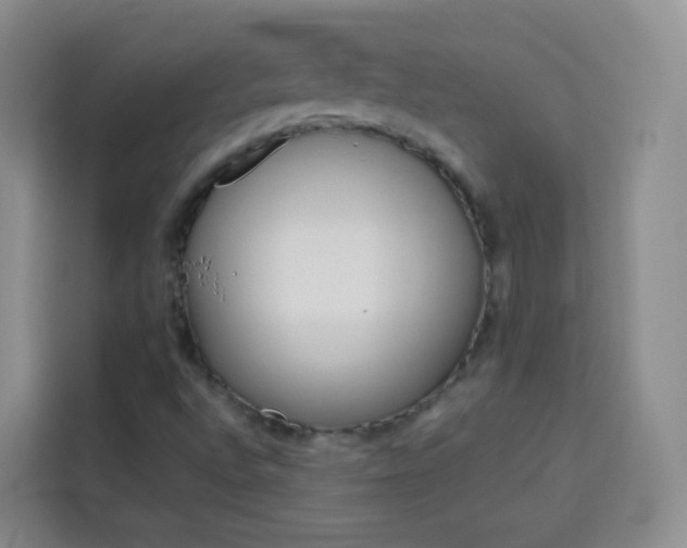 X0000114061496200910050945