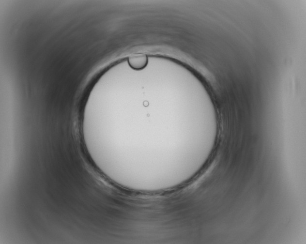 X0000114061498200910050945