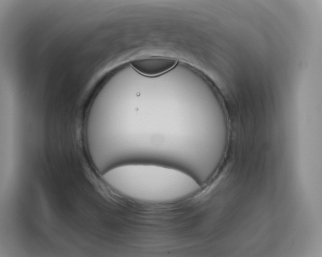 X0000114061499200910050945