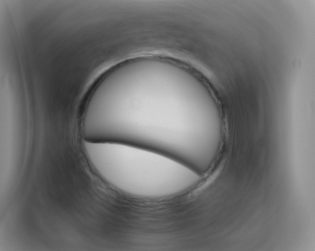 X0000114061501200910050945