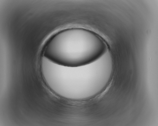 X0000114061502200910050945