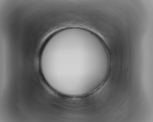 X0000114061503200910050945