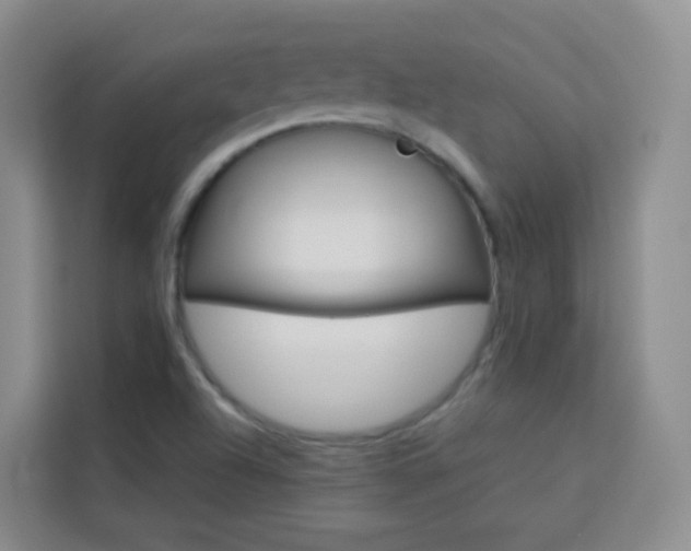 X0000114061504200910050945