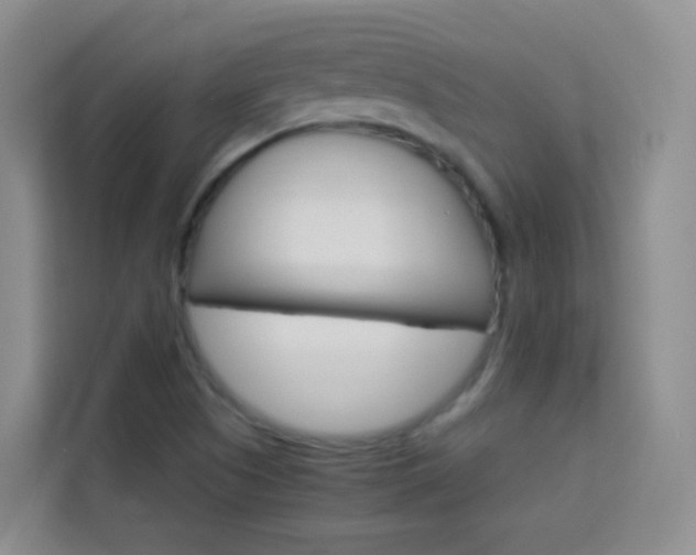 X0000114061505200910050945