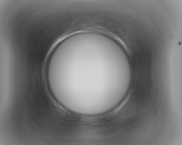 X0000114061506200910050945