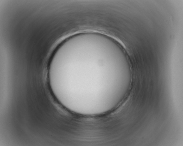 X0000114061507200910050945