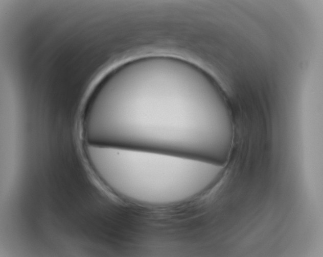 X0000114061511200910050945
