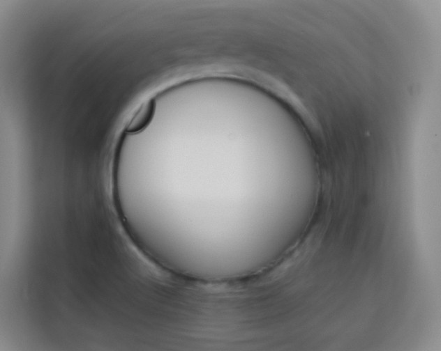 X0000114061512200910050945