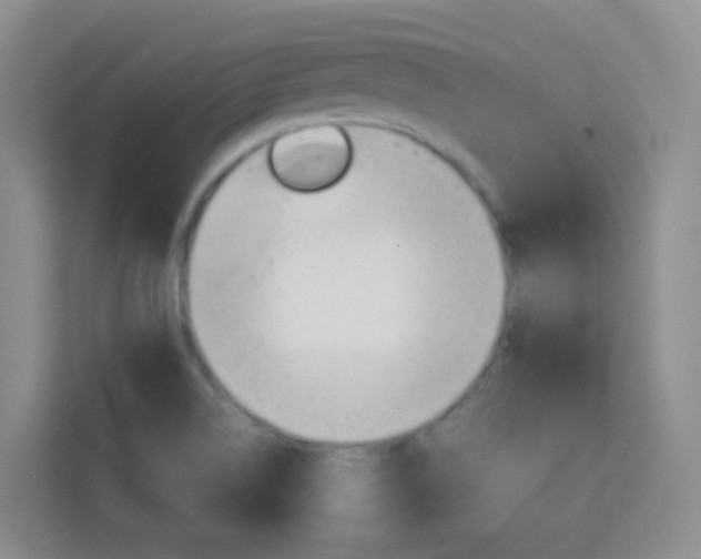 X0000114061514200910050945