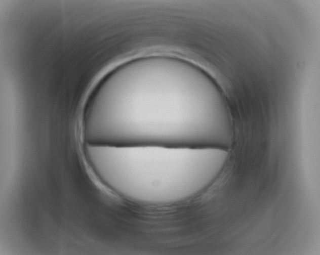 X0000114061515200910050945