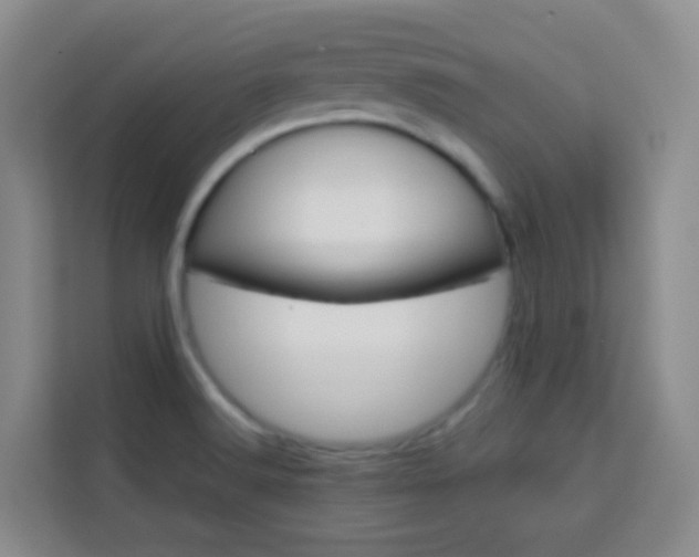 X0000114061516200910050945