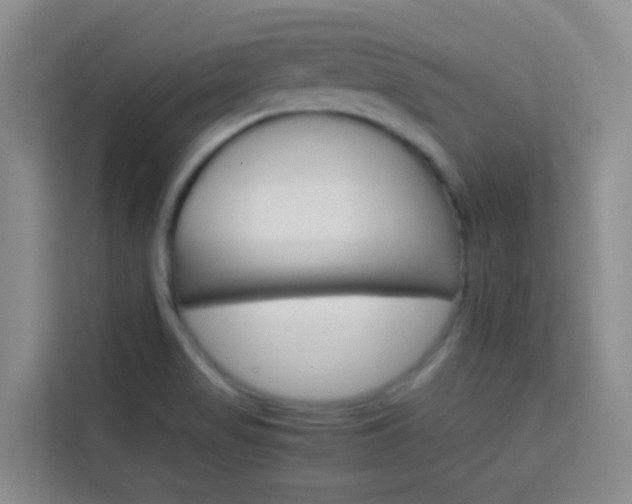 X0000114061517200910050945
