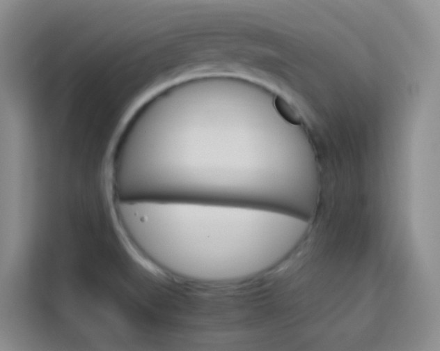 X0000114061519200910050945