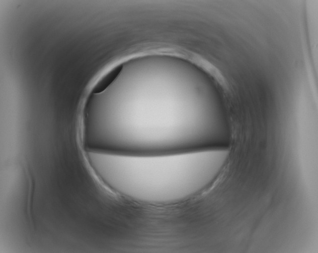 X0000114061520200910050945