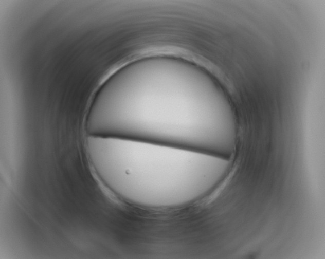 X0000114061521200910050945