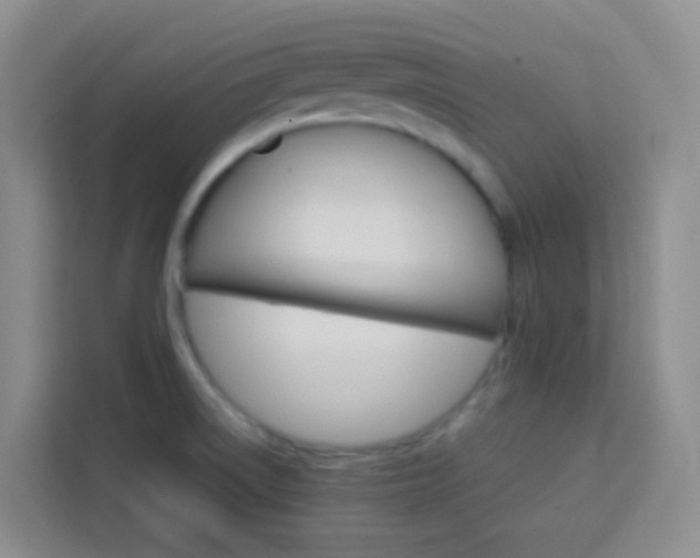 X0000114061522200910050945