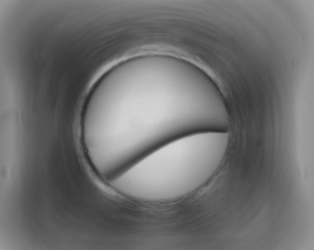 X0000114061523200910050945