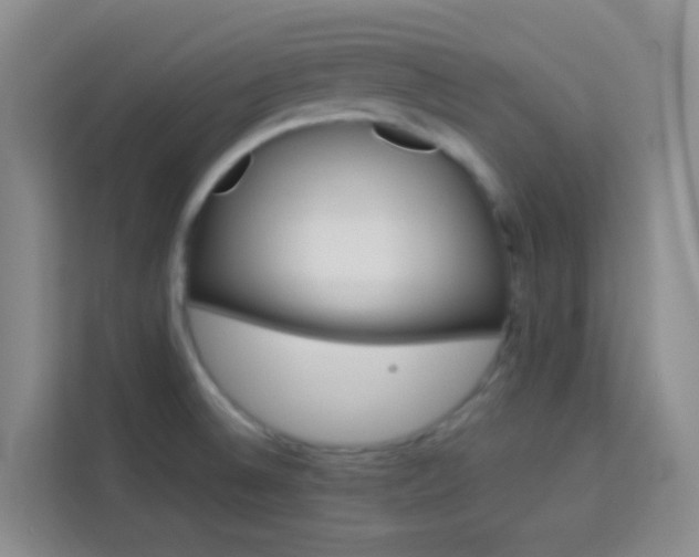 X0000114061524200910050945