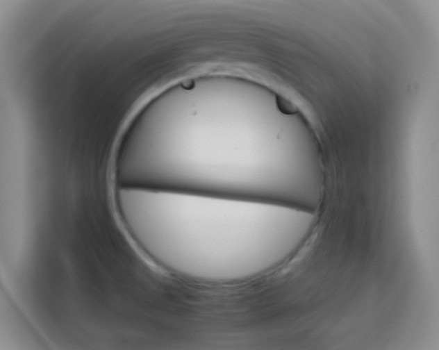 X0000114061525200910050945