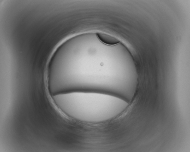 X0000114061526200910050945
