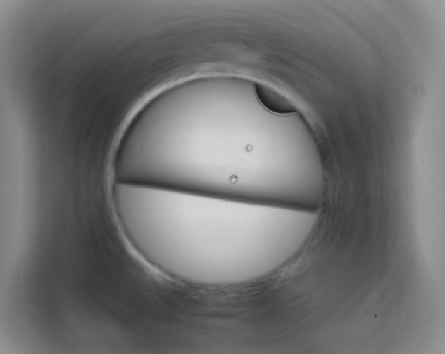 X0000114061527200910050945