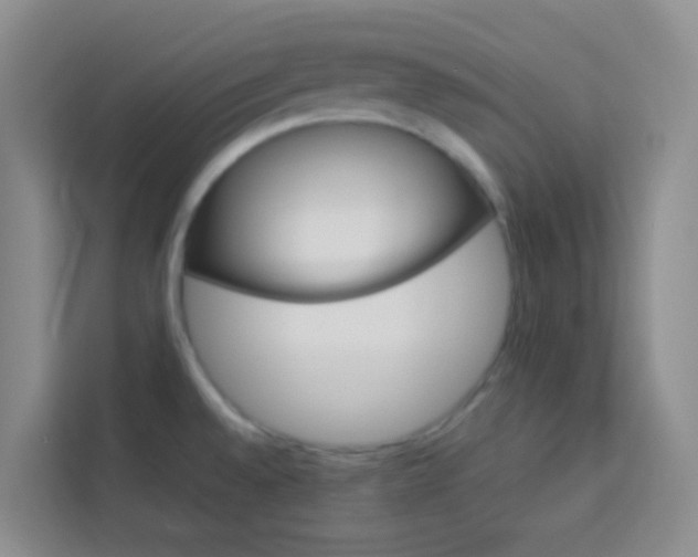 X0000114061528200910050945