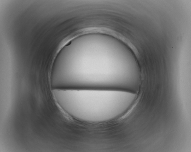 X0000114061529200910050945