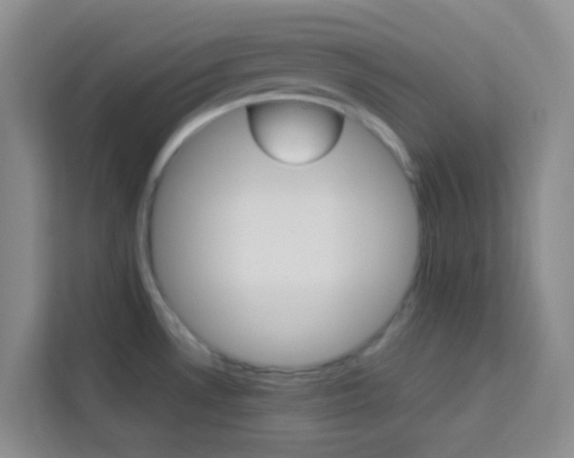 X0000114061530200910050945
