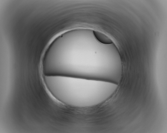 X0000114061531200910050945