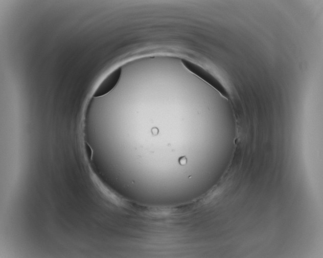 X0000114061532200910050945