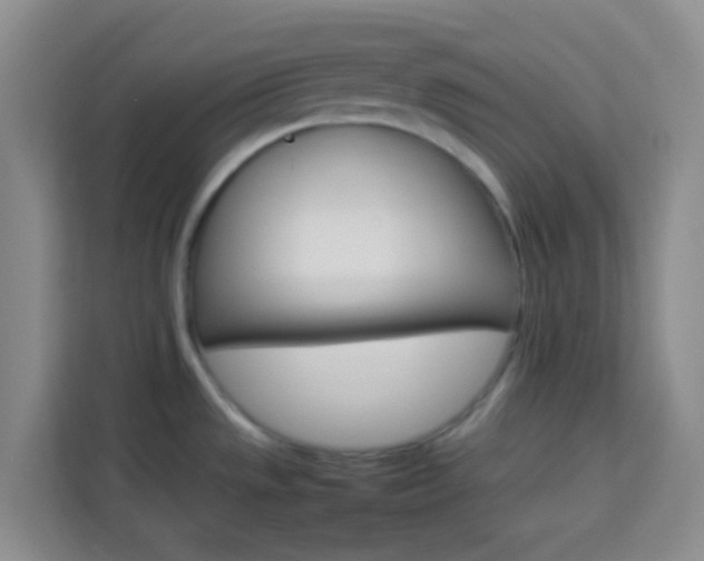 X0000114061533200910050945