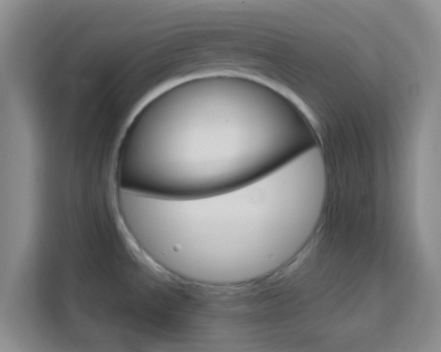 X0000114061534200910050945