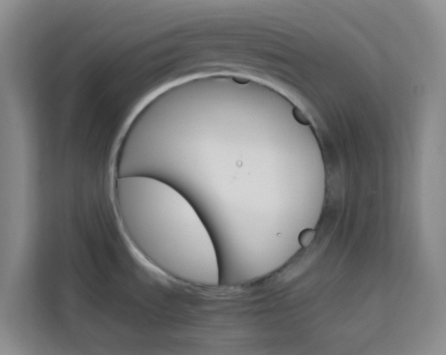 X0000114061535200910050945