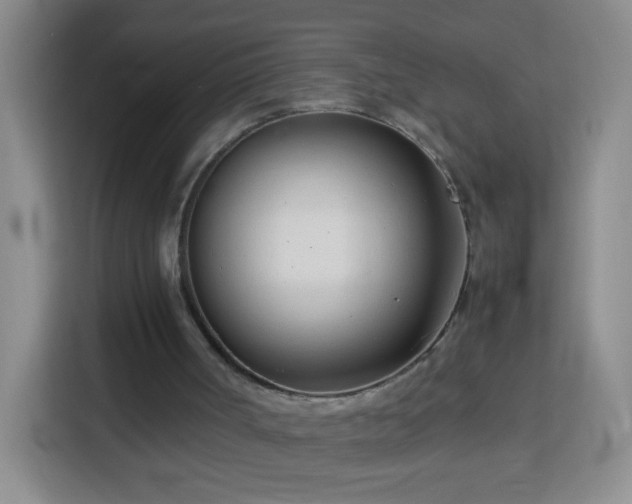 X0000114060002200910051226