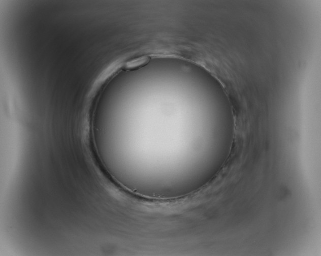 X0000114060005200910051226